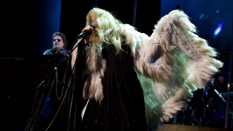 кадр из фильма Stevie Nicks 24 Karat Gold The Concert