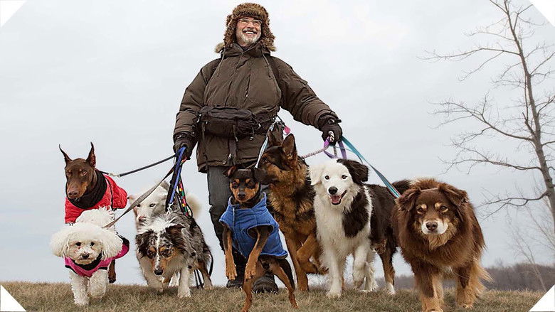 кадр из фильма La Nouvelle Vie de Paul Sneijder