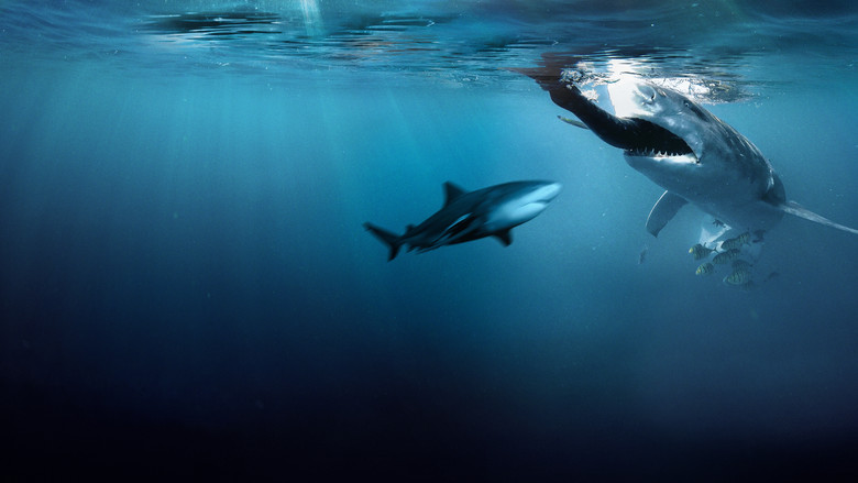 кадр из фильма Bull Shark Bandits