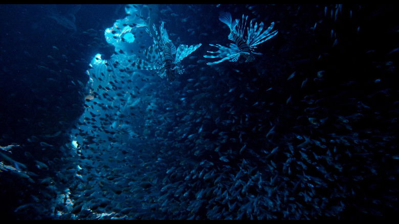 кадр из фильма Заколдованное королевство 3D