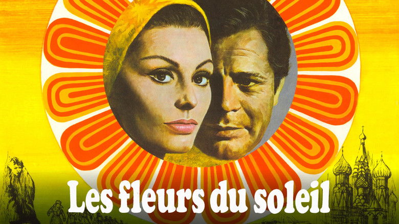 кадр из фильма Подсолнухи