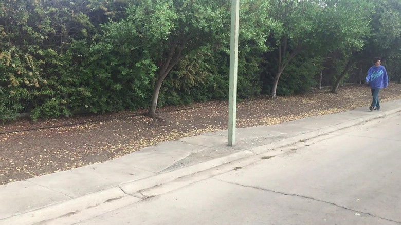 кадр из фильма Amor Adolescente