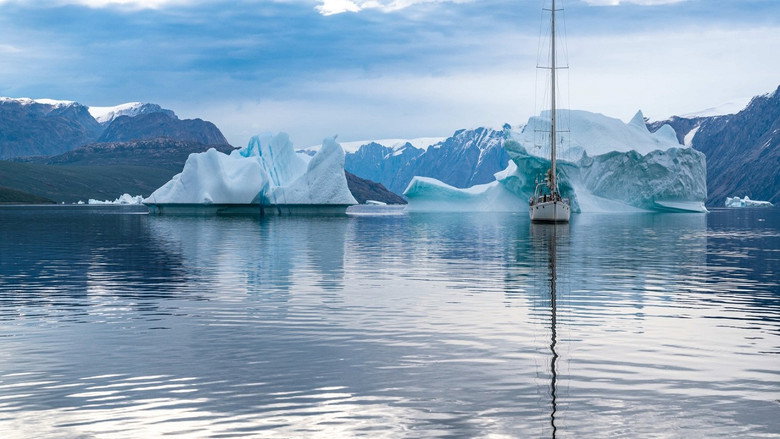 кадр из фильма WWF: Missione Artico