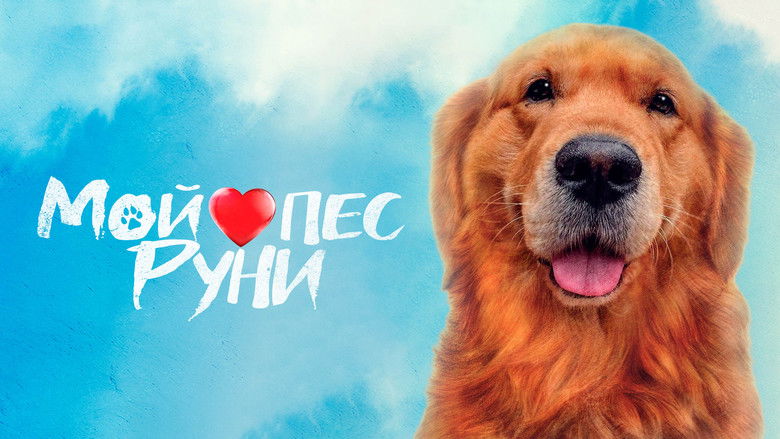 кадр из фильма Мой пёс Руни