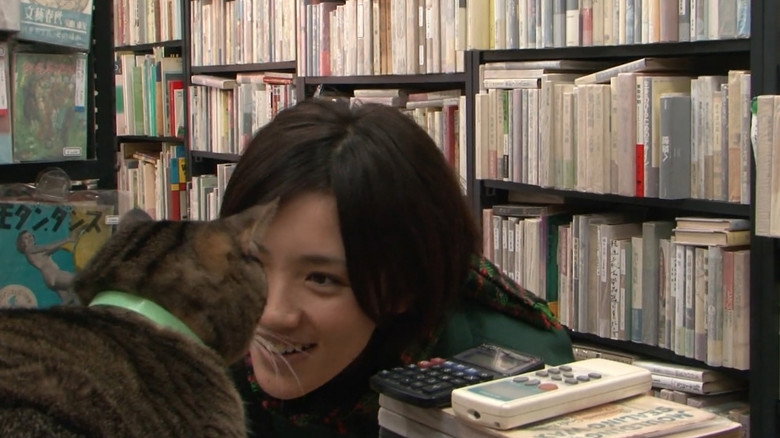 кадр из фильма 私は猫ストーカー
