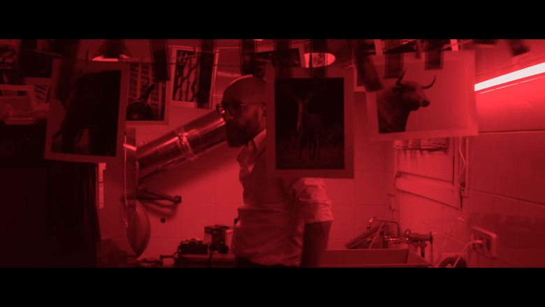 кадр из фильма Aguaceros