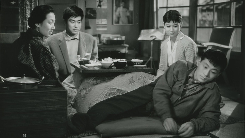 кадр из фильма Солнечный спуск