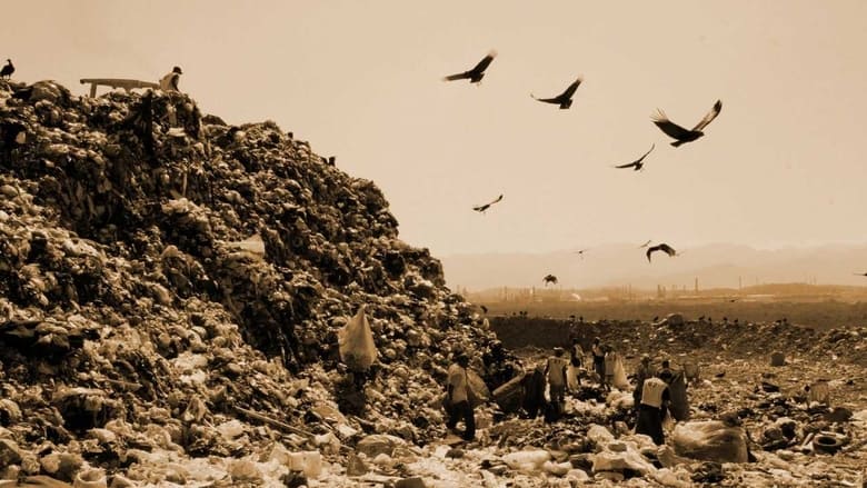 кадр из фильма Waste Land