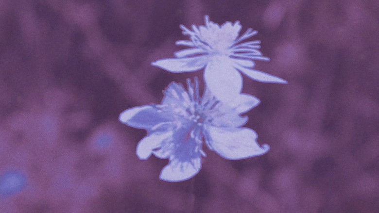 кадр из фильма Zinzindurrunkarratz