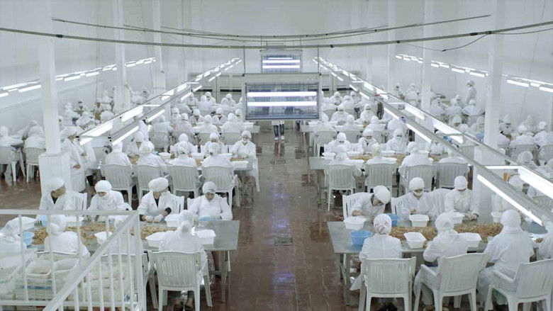 кадр из фильма Sur la planche