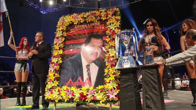 кадр из фильма AAA Héroes Inmortales XII