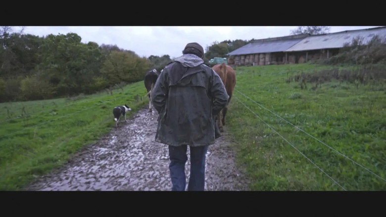 кадр из фильма Violence dans les Champs