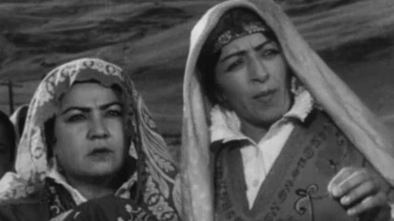 кадр из фильма Четверо из Чорсанга