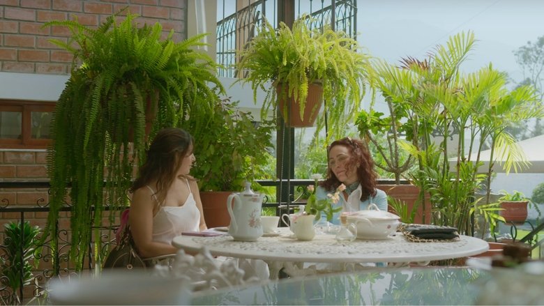 кадр из фильма cuando éramos tú y yo