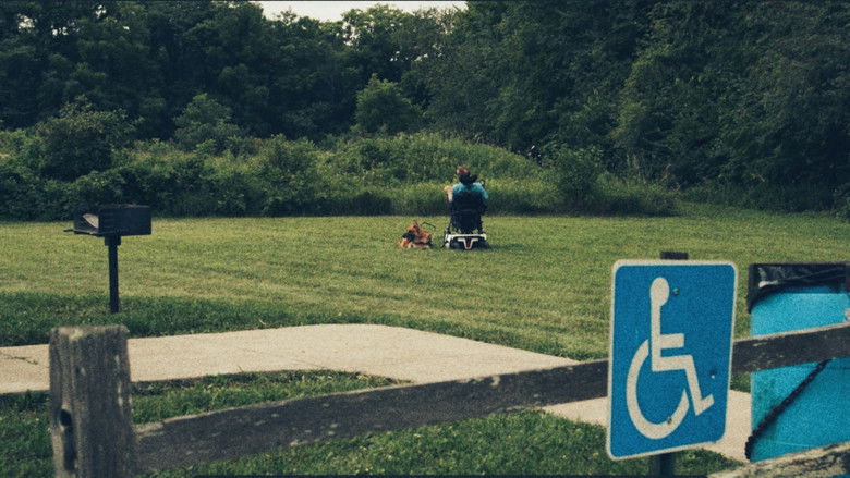 кадр из фильма Driven to Help