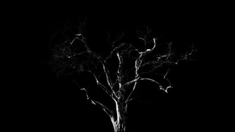 кадр из фильма Dreams, Confessions and The End Of The World