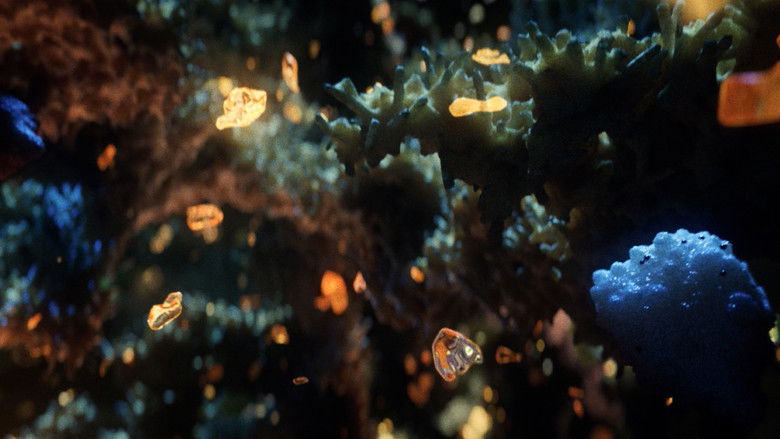 кадр из фильма Неогранённые алмазы