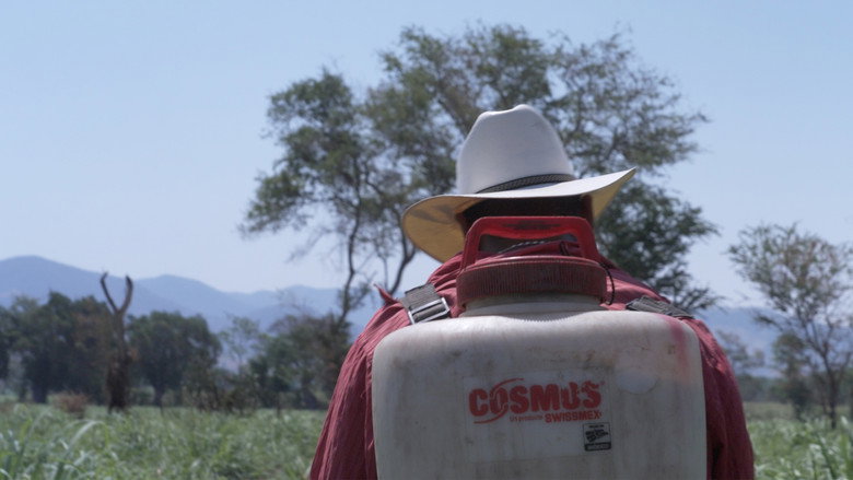 кадр из фильма Voces de la Tierra, Salud y Agroecología