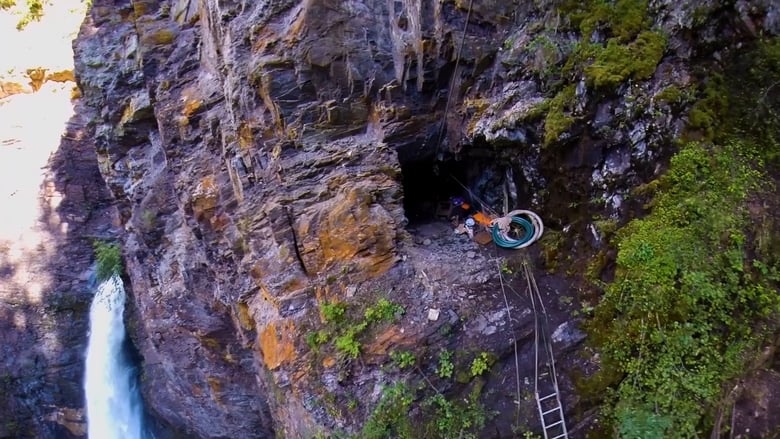 кадр из фильма Gold Blooded