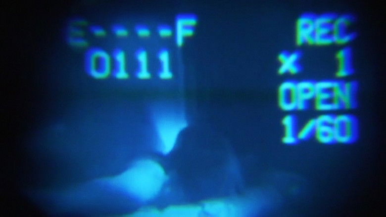 кадр из фильма We Must Remain the Wildhearted Outsiders