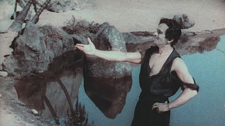 кадр из фильма Черный пират