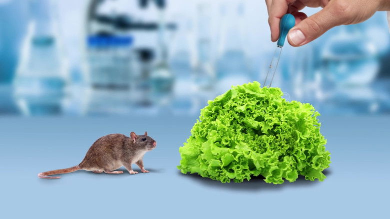 кадр из фильма The Weight of Chains 3