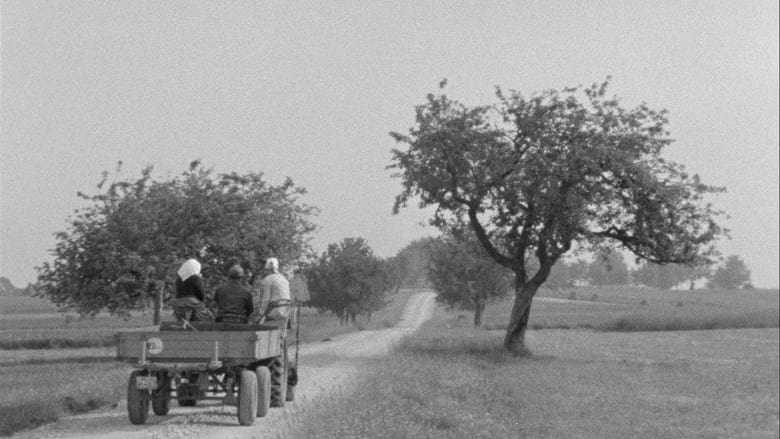 кадр из фильма Ödenwaldstetten