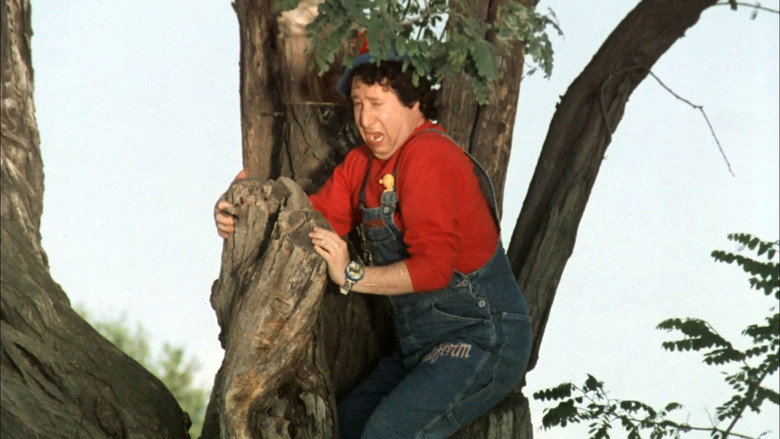 кадр из фильма Pierino torna a scuola