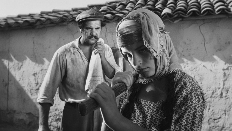 кадр из фильма Засушливое лето