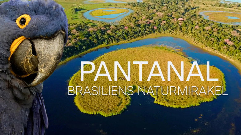 кадр из фильма Naturwunder Pantanal - Brasiliens geheimnisvolle Wildnis
