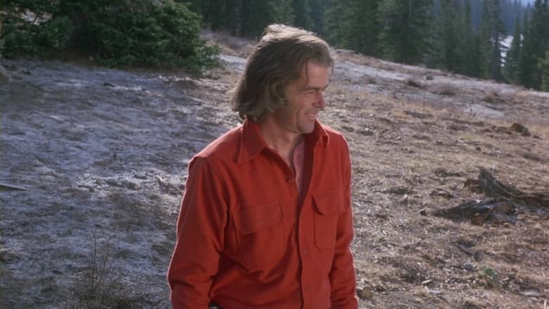 кадр из фильма Adventures of the Wilderness Family 2