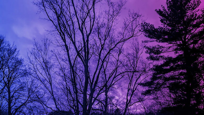 кадр из фильма Chrysalis