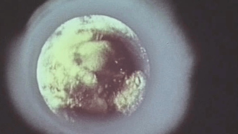 кадр из фильма Биосфера! Время осознания