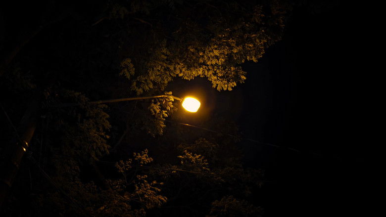 кадр из фильма Além do Tempo