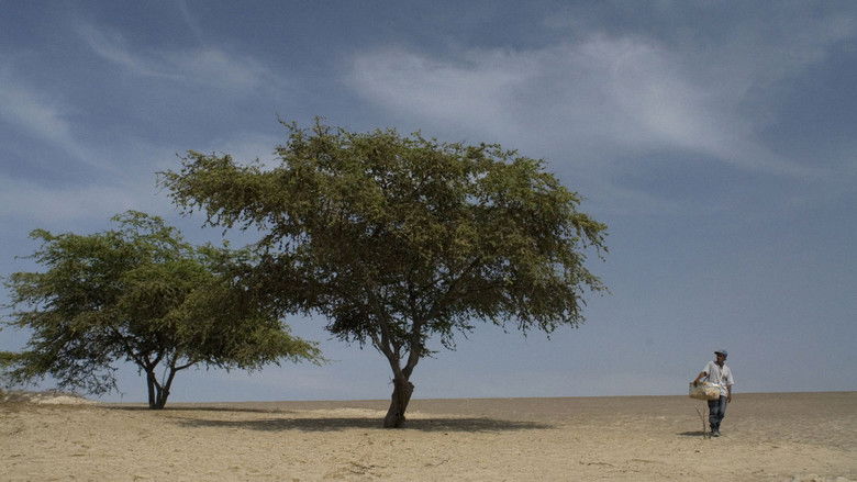 кадр из фильма Молоко скорби