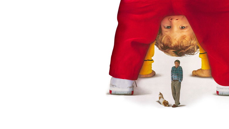 кадр из фильма Дорогая, я увеличил ребёнка