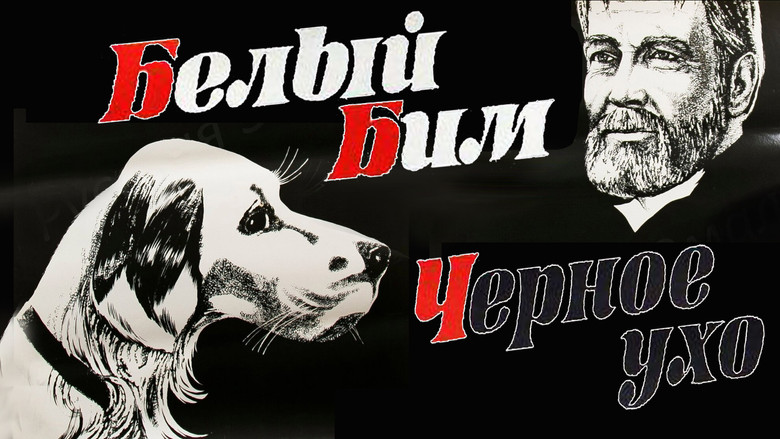 кадр из фильма Белый Бим Чёрное ухо