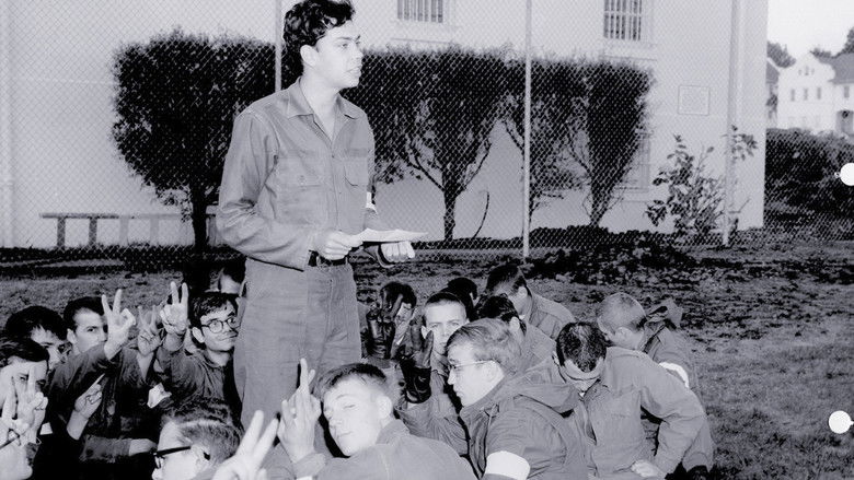 кадр из фильма Sir! No Sir!