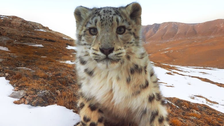 кадр из фильма Ghost of the Mountains