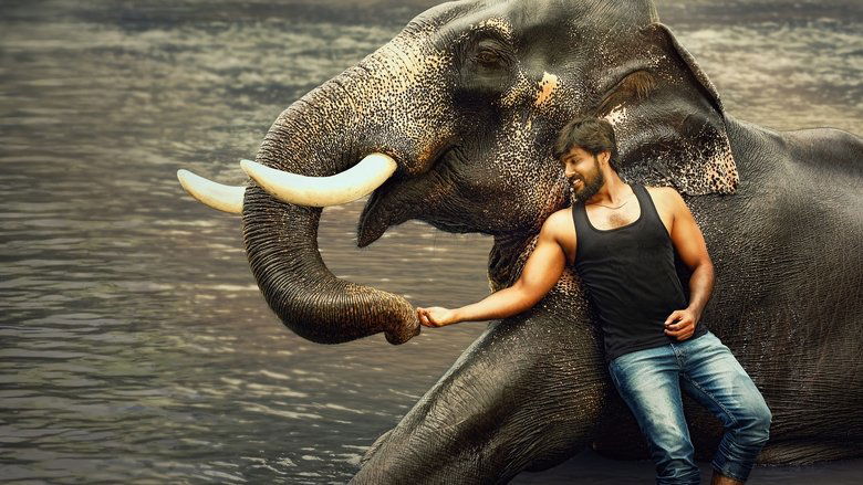 кадр из фильма ராஜபீமா