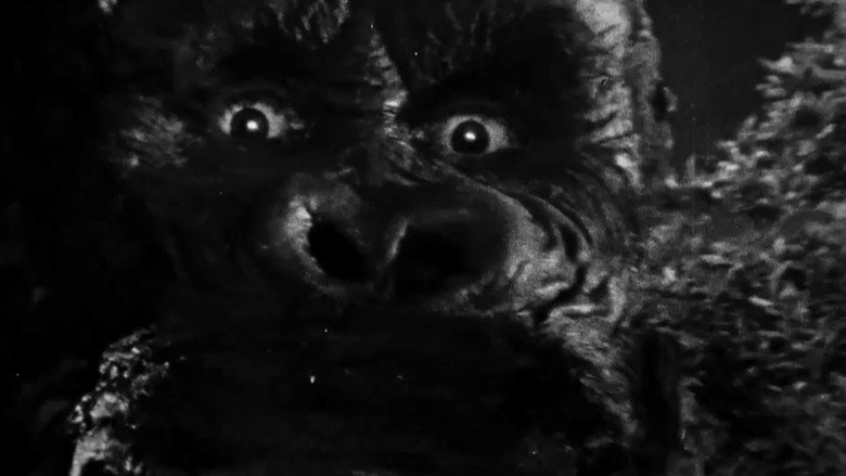 кадр из фильма « King Kong » : le cœur des ténèbres
