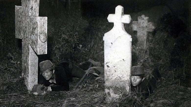 кадр из фильма Boško Buha