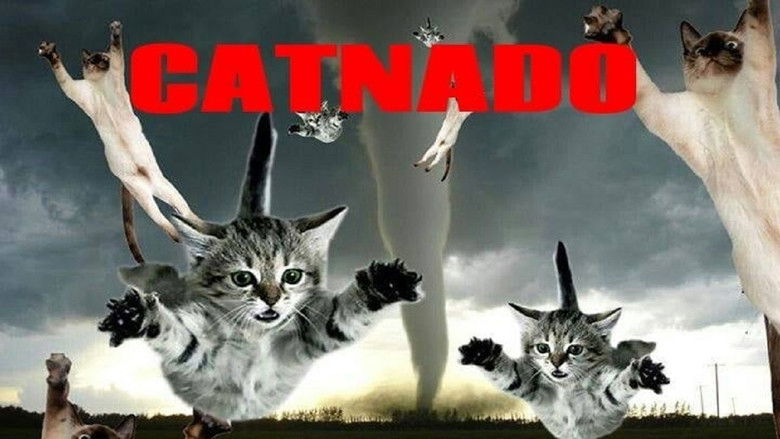 кадр из фильма Catnado
