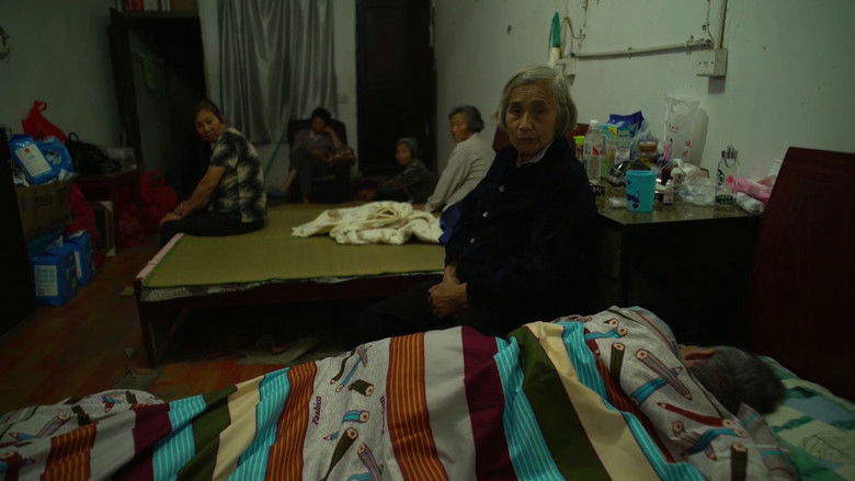 кадр из фильма Миссис Фан