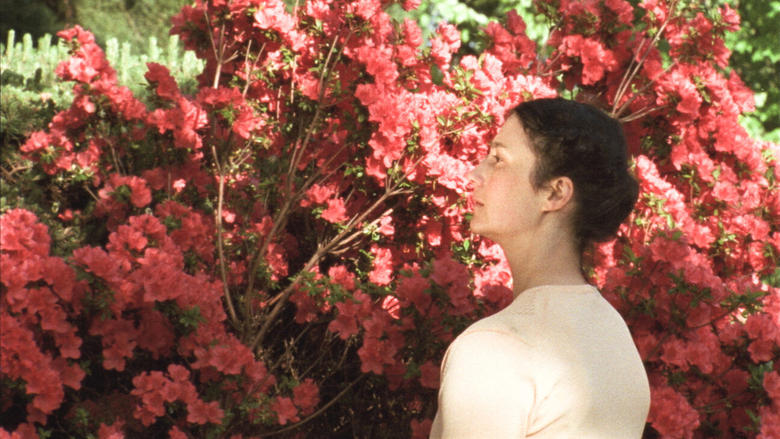 кадр из фильма A Thousand Waves Away