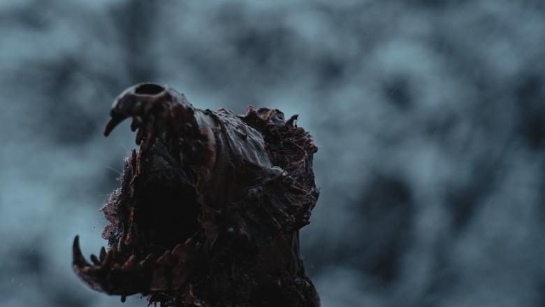 кадр из фильма Naualli