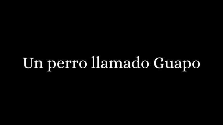 кадр из фильма Un Perro Llamado Guapo
