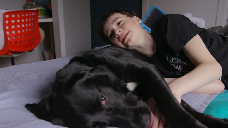 кадр из фильма Moi et mon chien