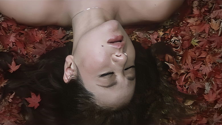 кадр из фильма 女番長ブルース　牝蜂の挑戦