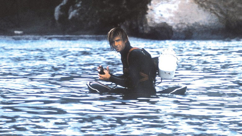 кадр из фильма Crystal Voyager